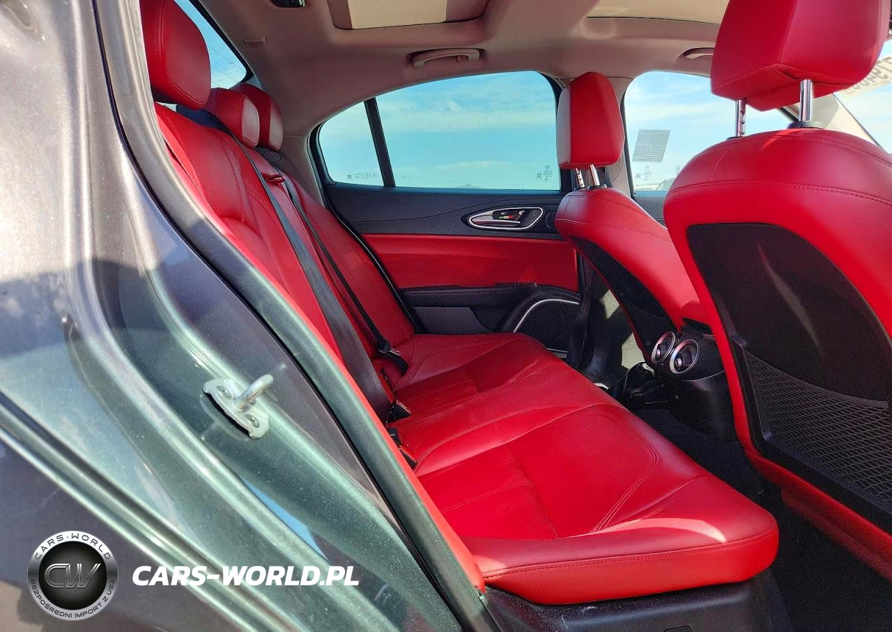 2019 Alfa Romeo Giulia VIN:ZARFAMANXK7620816 - 10