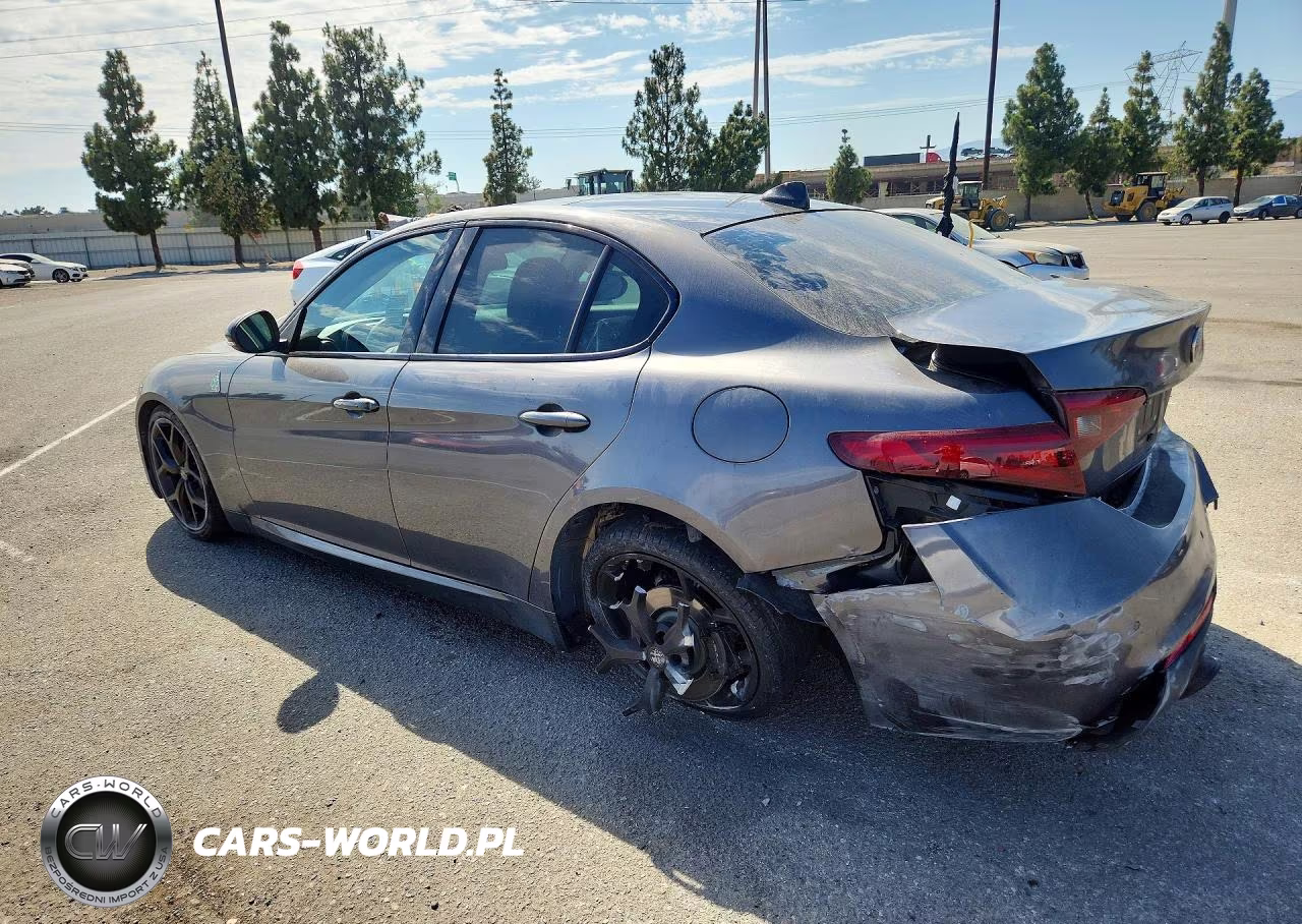 2019 Alfa Romeo Giulia VIN:ZARFAMANXK7620816 - 2
