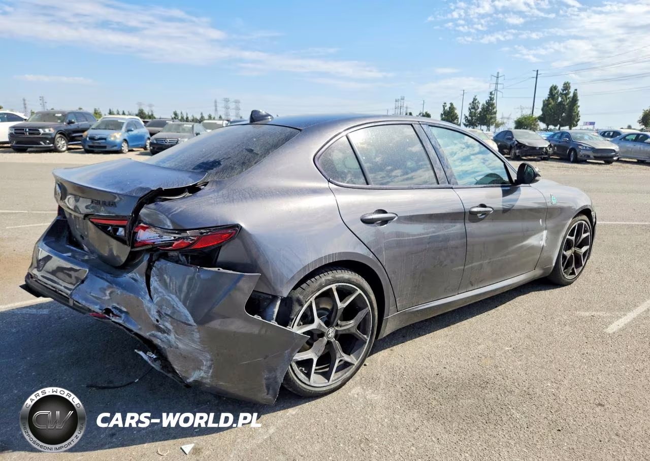 2019 Alfa Romeo Giulia VIN:ZARFAMANXK7620816 - 3