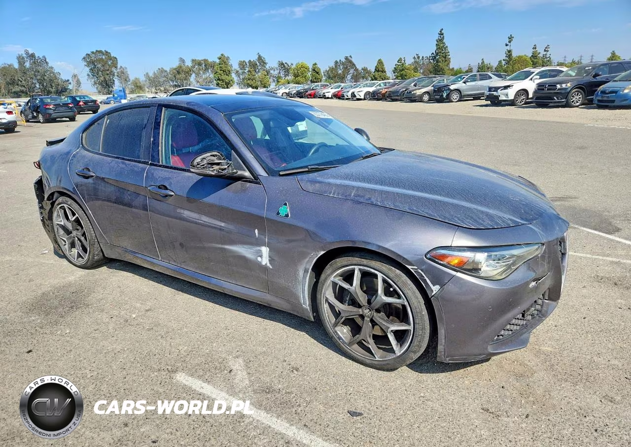 2019 Alfa Romeo Giulia VIN:ZARFAMANXK7620816 - 4