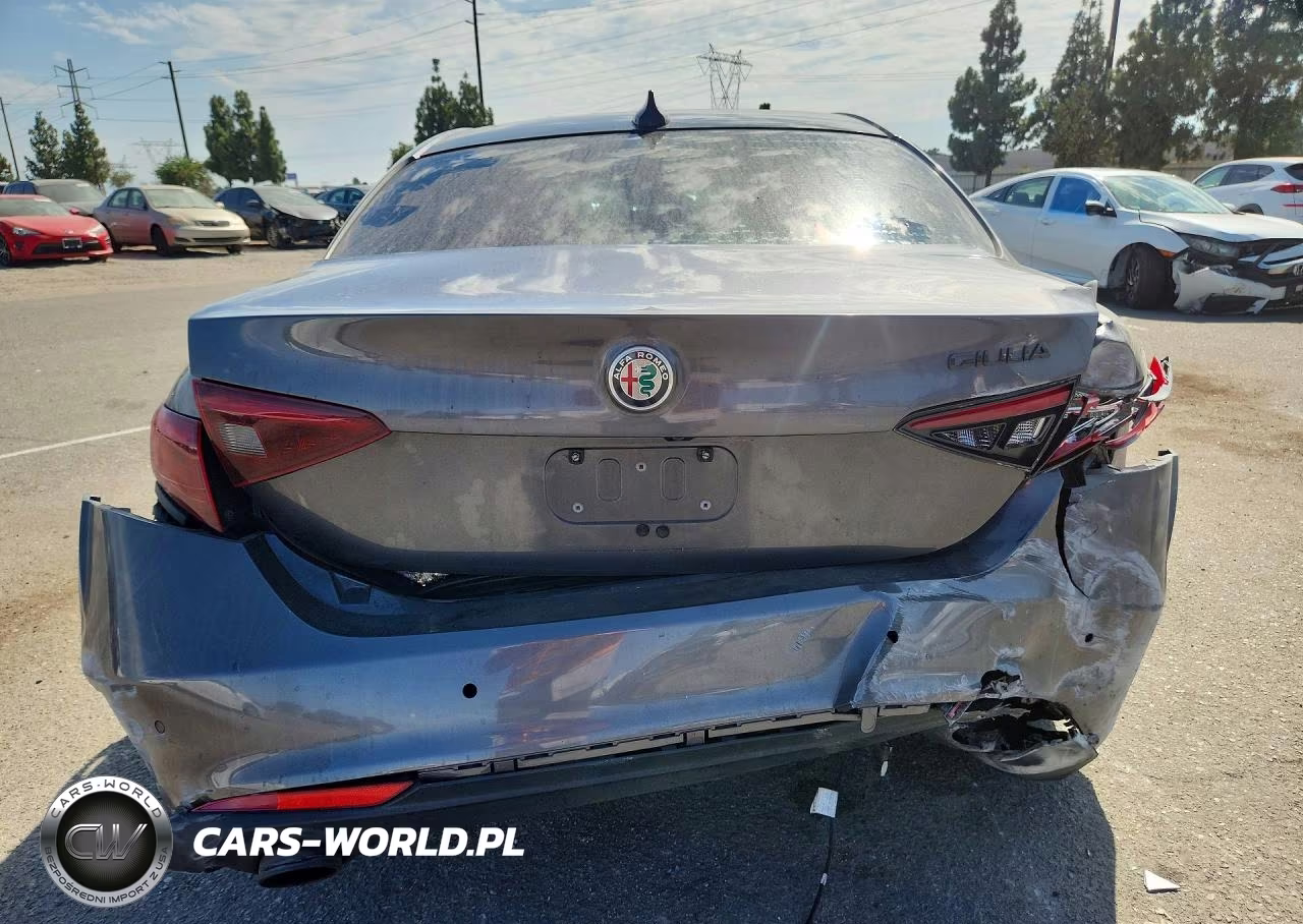 2019 Alfa Romeo Giulia VIN:ZARFAMANXK7620816 - 6