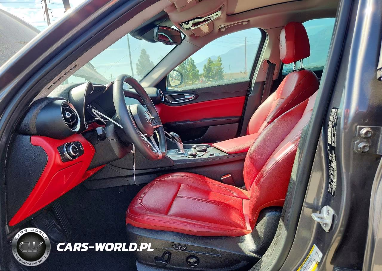 2019 Alfa Romeo Giulia VIN:ZARFAMANXK7620816 - 7