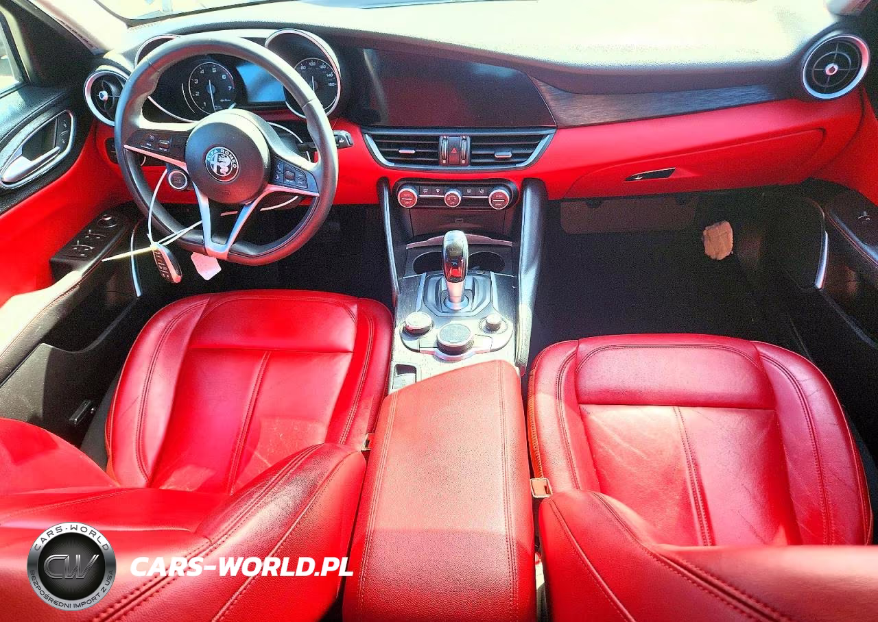 2019 Alfa Romeo Giulia VIN:ZARFAMANXK7620816 - 8