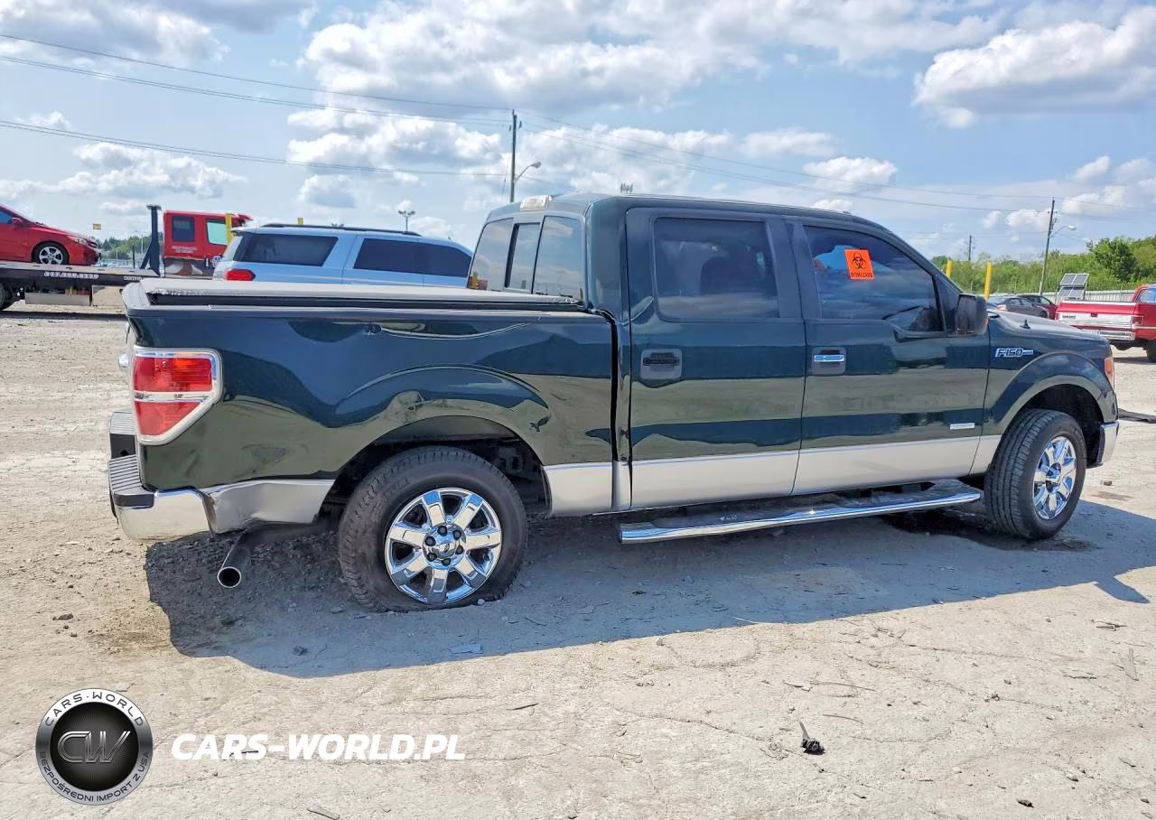 2013 Ford F150 Supercrew VIN:1FTFW1CT7DFA14775 - 3