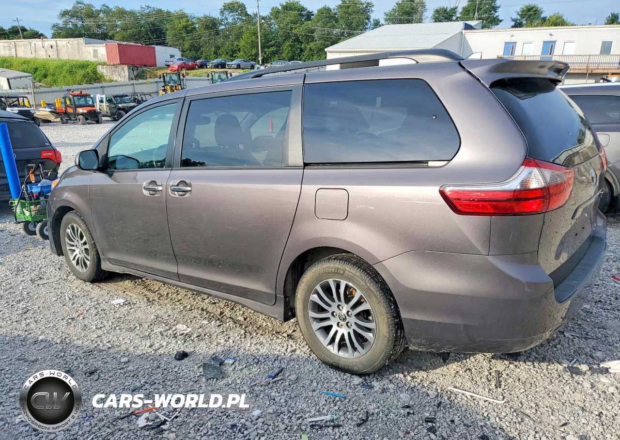 2020 Toyota Sienna Xle 8-Passenger VIN:5TDYZ3DC5LS081089 - 2