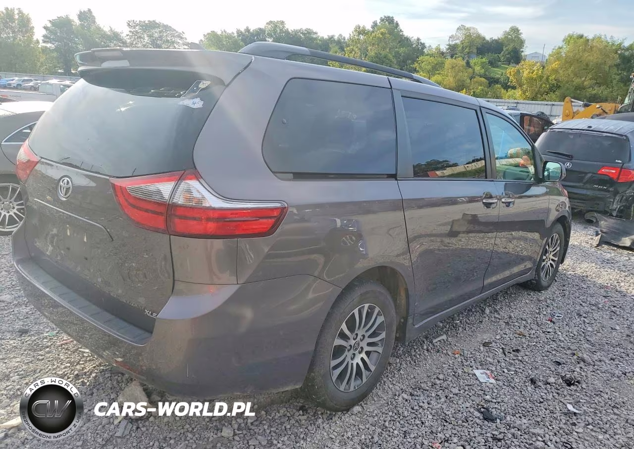 2020 Toyota Sienna Xle 8-Passenger VIN:5TDYZ3DC5LS081089 - 3