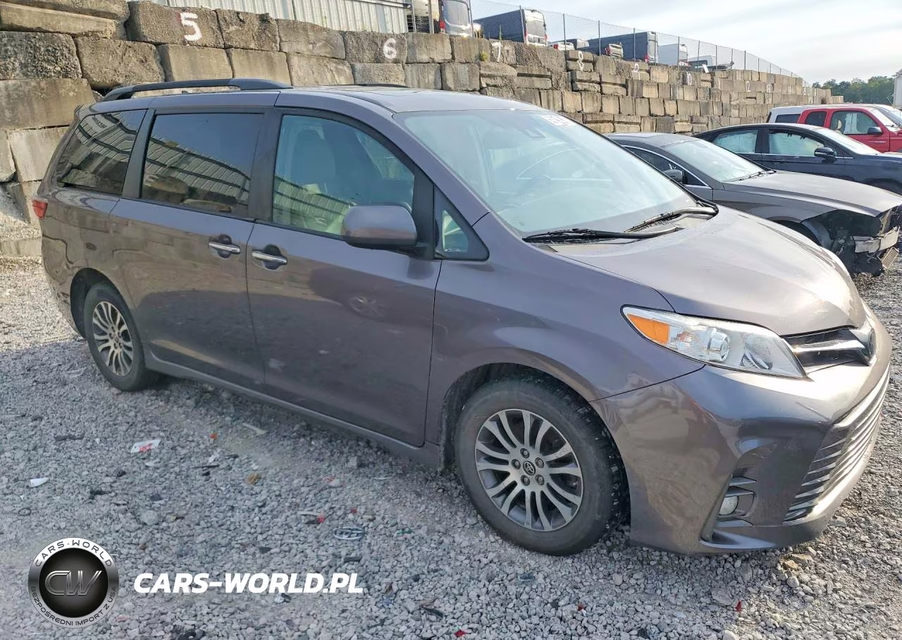 2020 Toyota Sienna Xle 8-Passenger VIN:5TDYZ3DC5LS081089 - 4