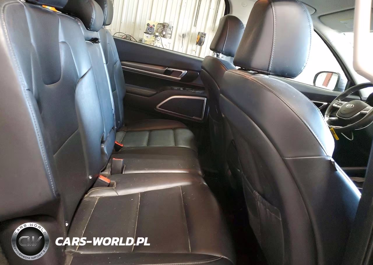 2020 Kia Telluride Lx VIN:5XYP2DHC1LG003020 - 10