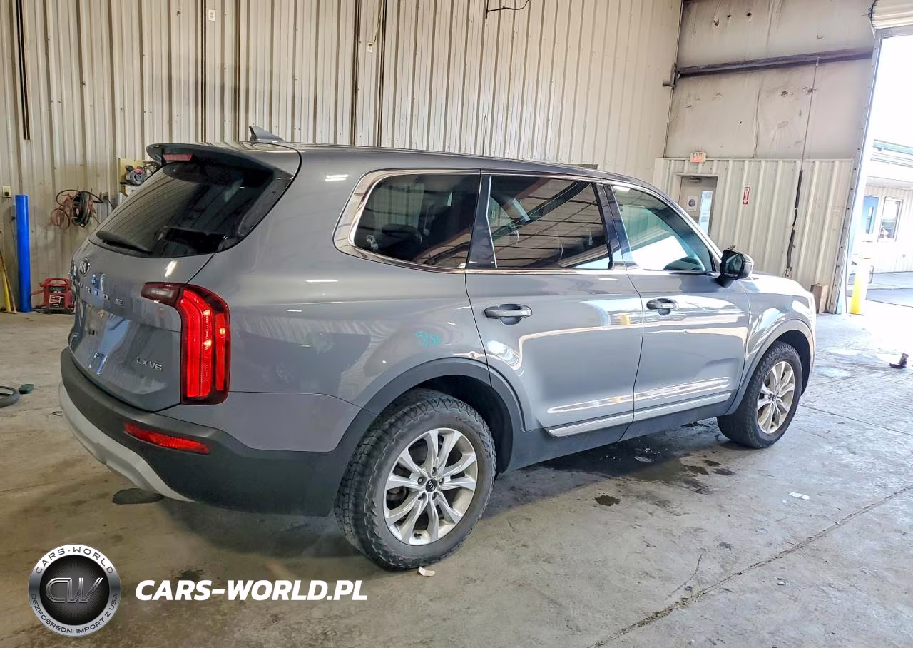 2020 Kia Telluride Lx VIN:5XYP2DHC1LG003020 - 3