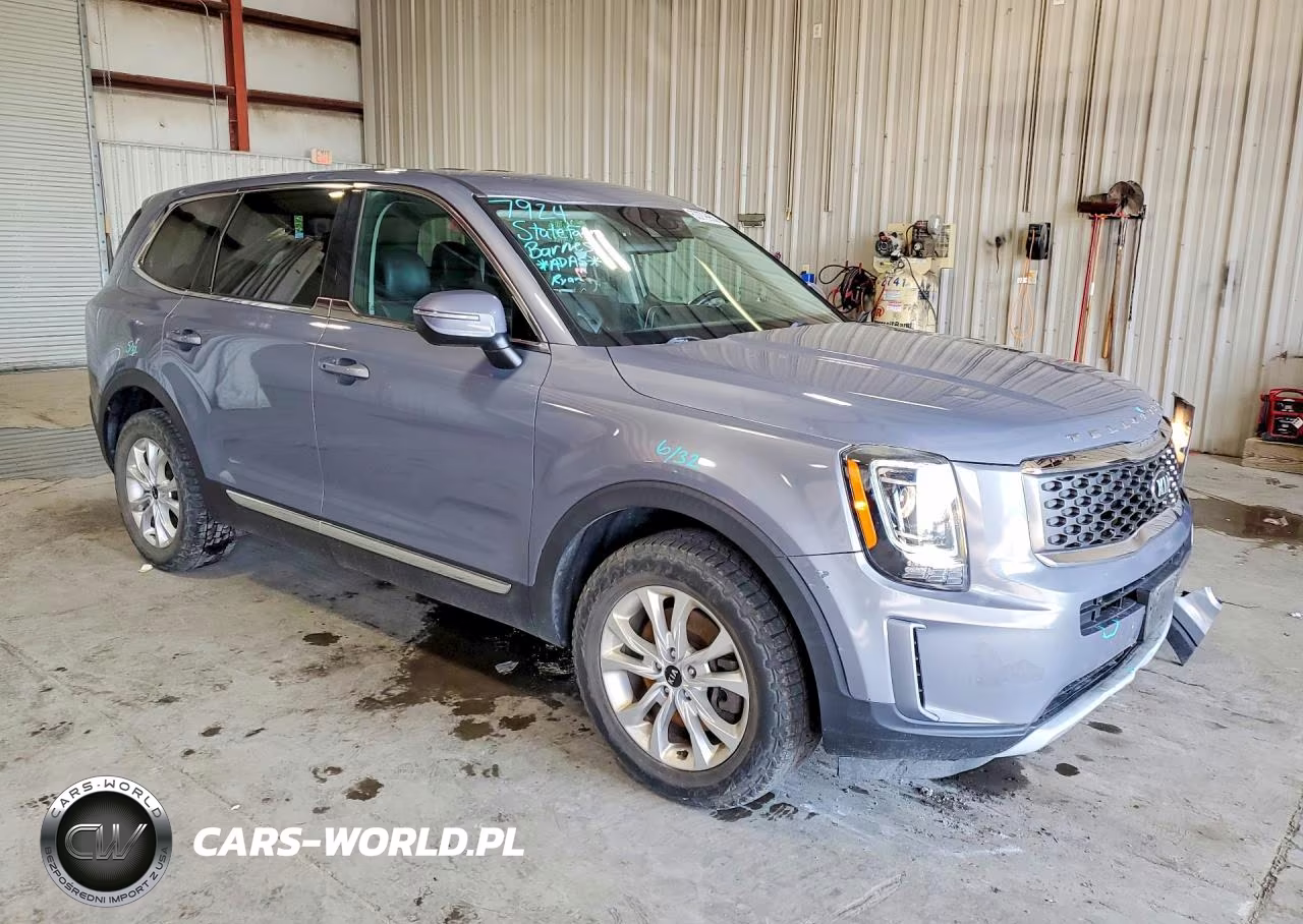 2020 Kia Telluride Lx VIN:5XYP2DHC1LG003020 - 4