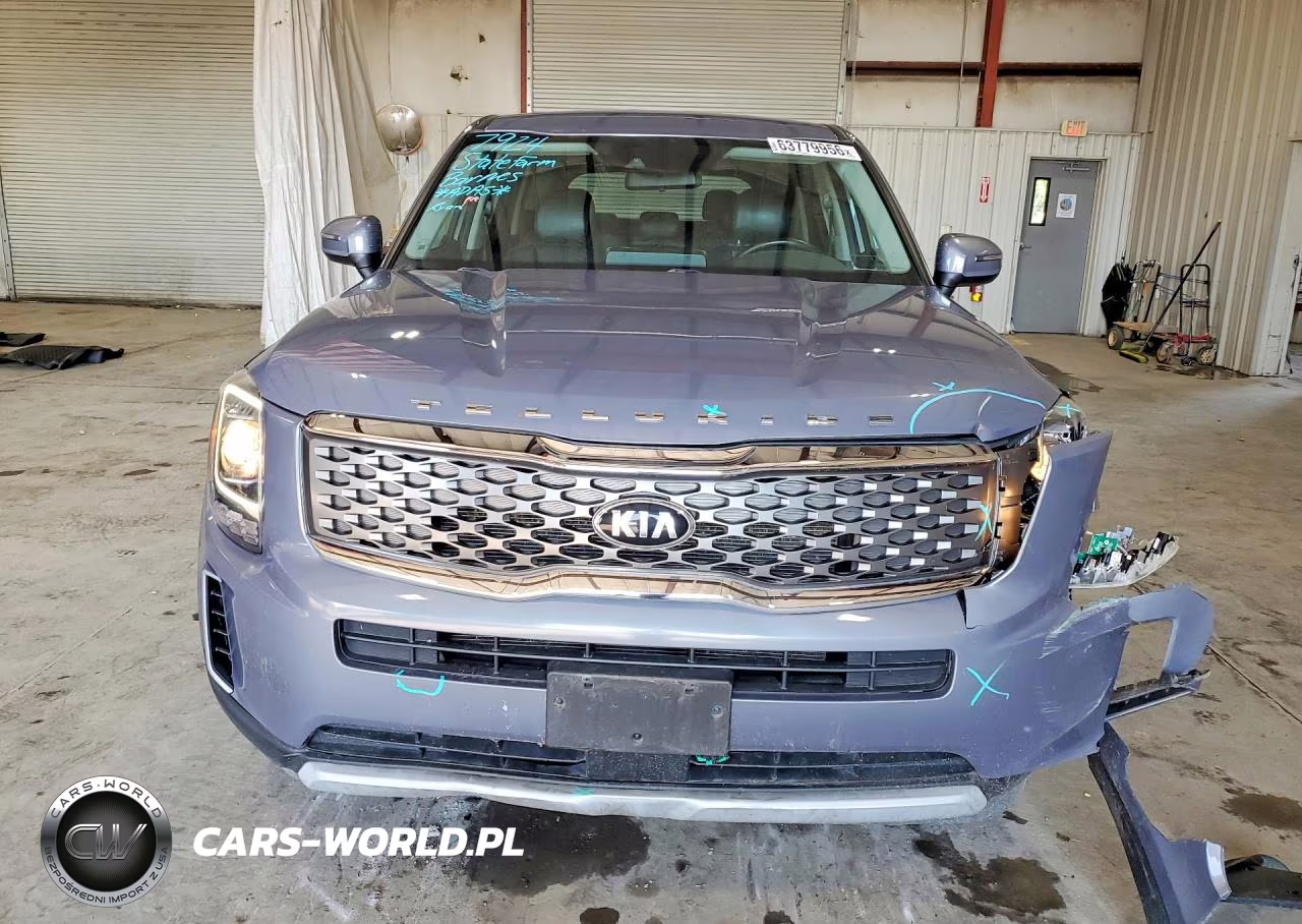 2020 Kia Telluride Lx VIN:5XYP2DHC1LG003020 - 5