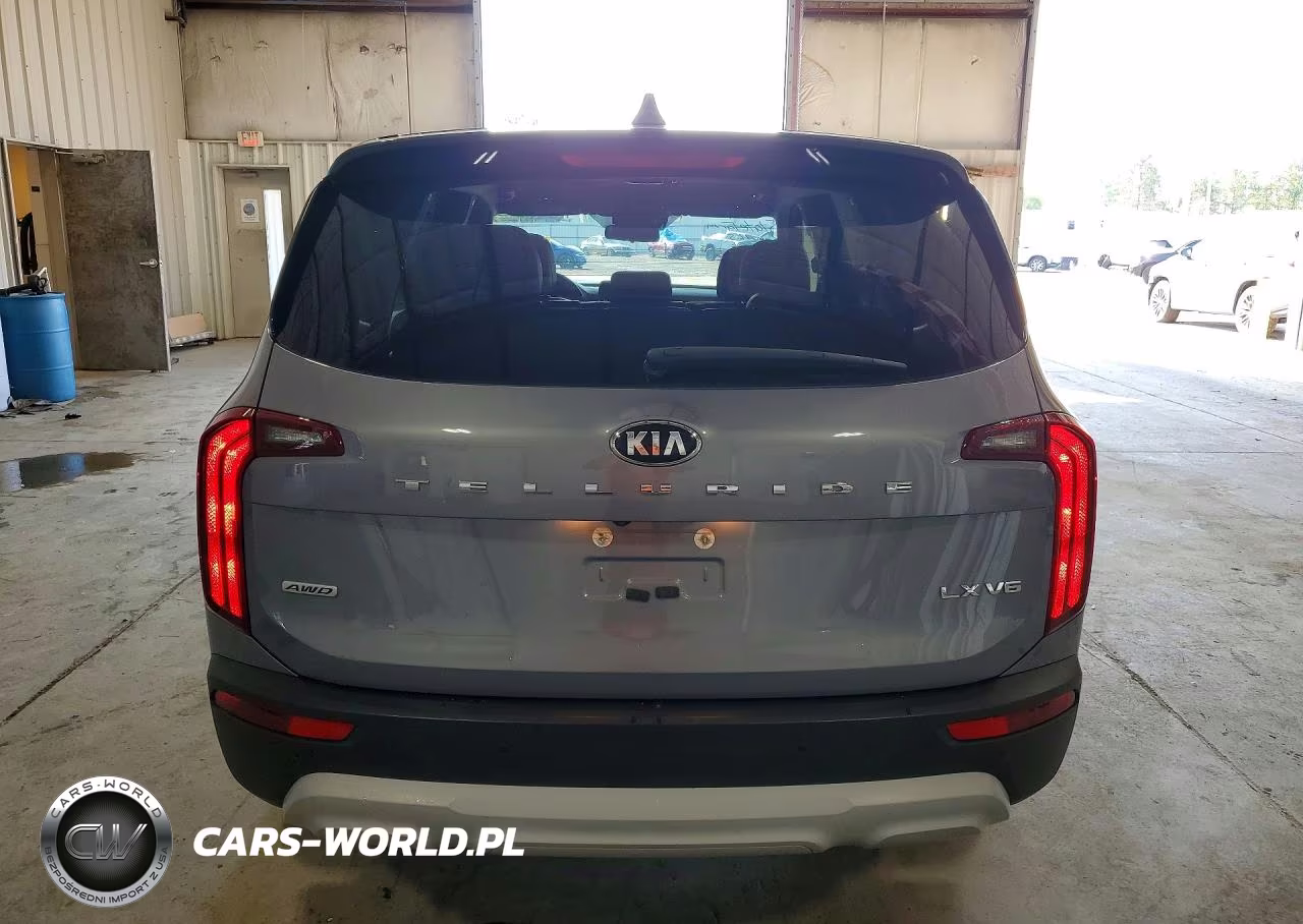 2020 Kia Telluride Lx VIN:5XYP2DHC1LG003020 - 6