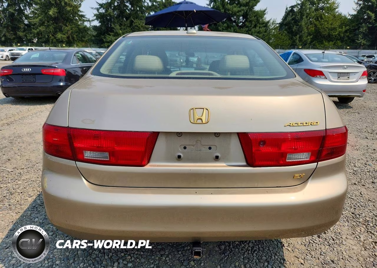 2005 Honda Accord Ex VIN:1HGCM56855A038208 - 6