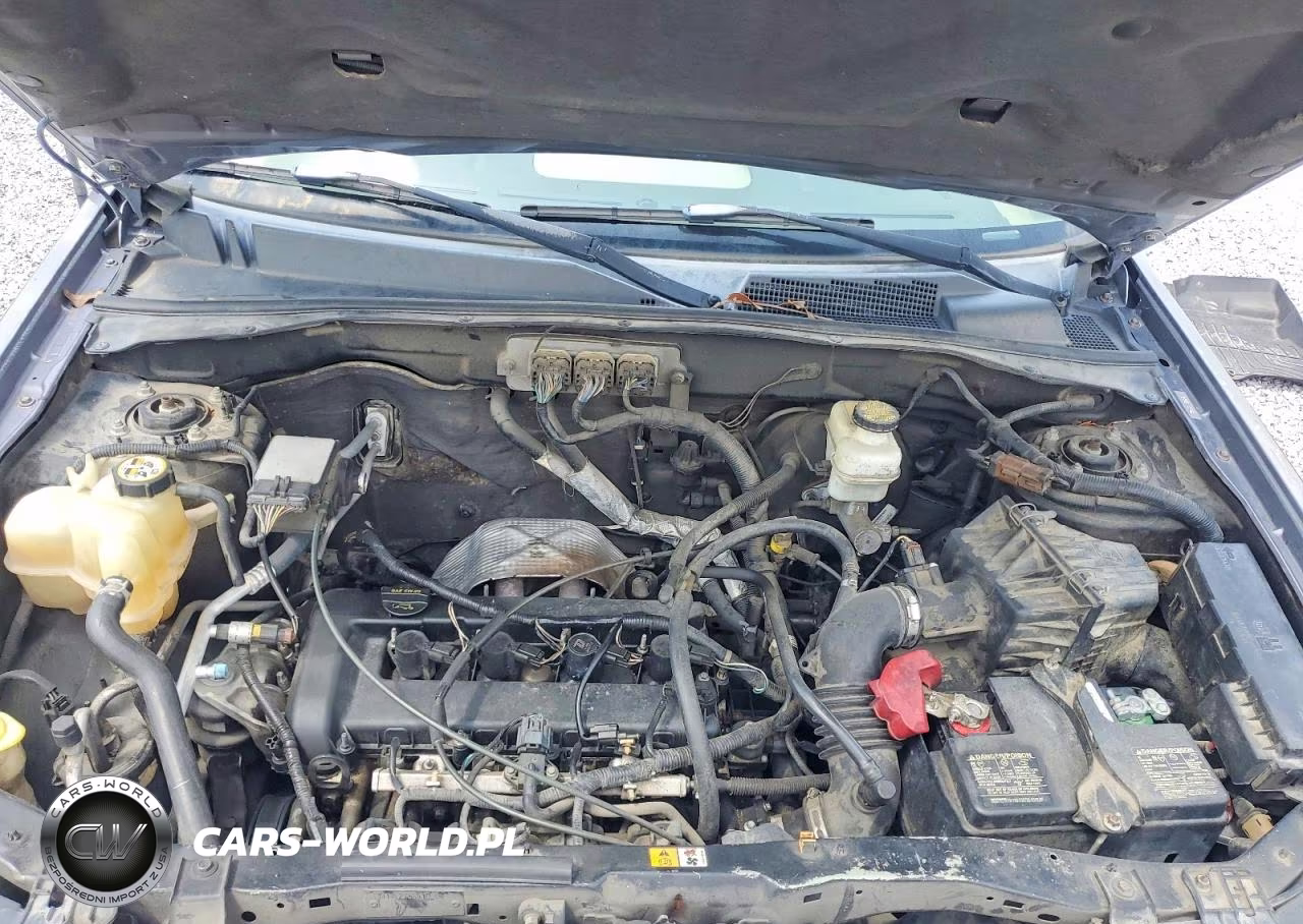 2008 Ford Escape Xlt VIN:1FMCU03Z88KC72741 - 11