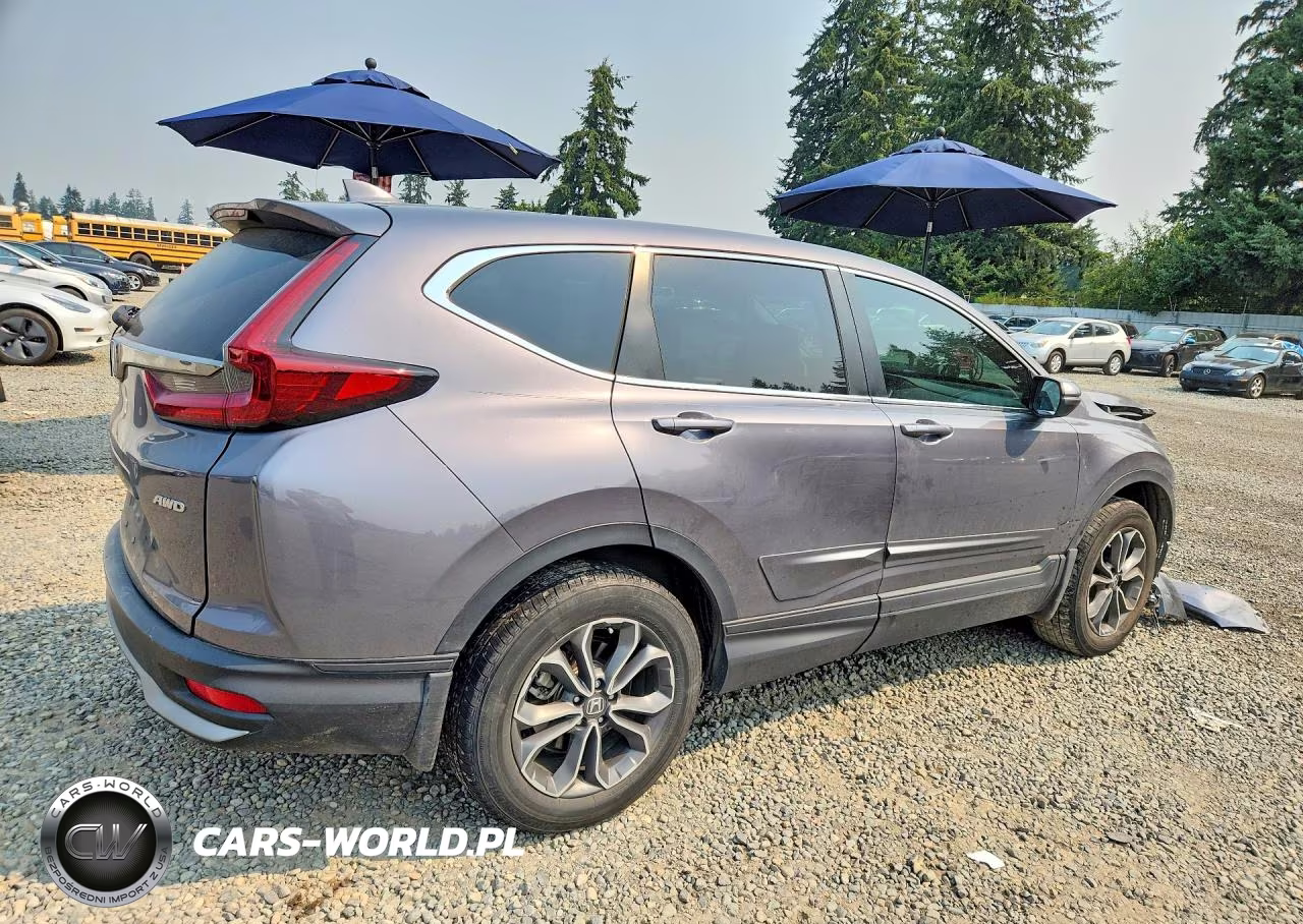 2022 Honda Cr-V Ex VIN:7FARW2H56NE037925 - 3