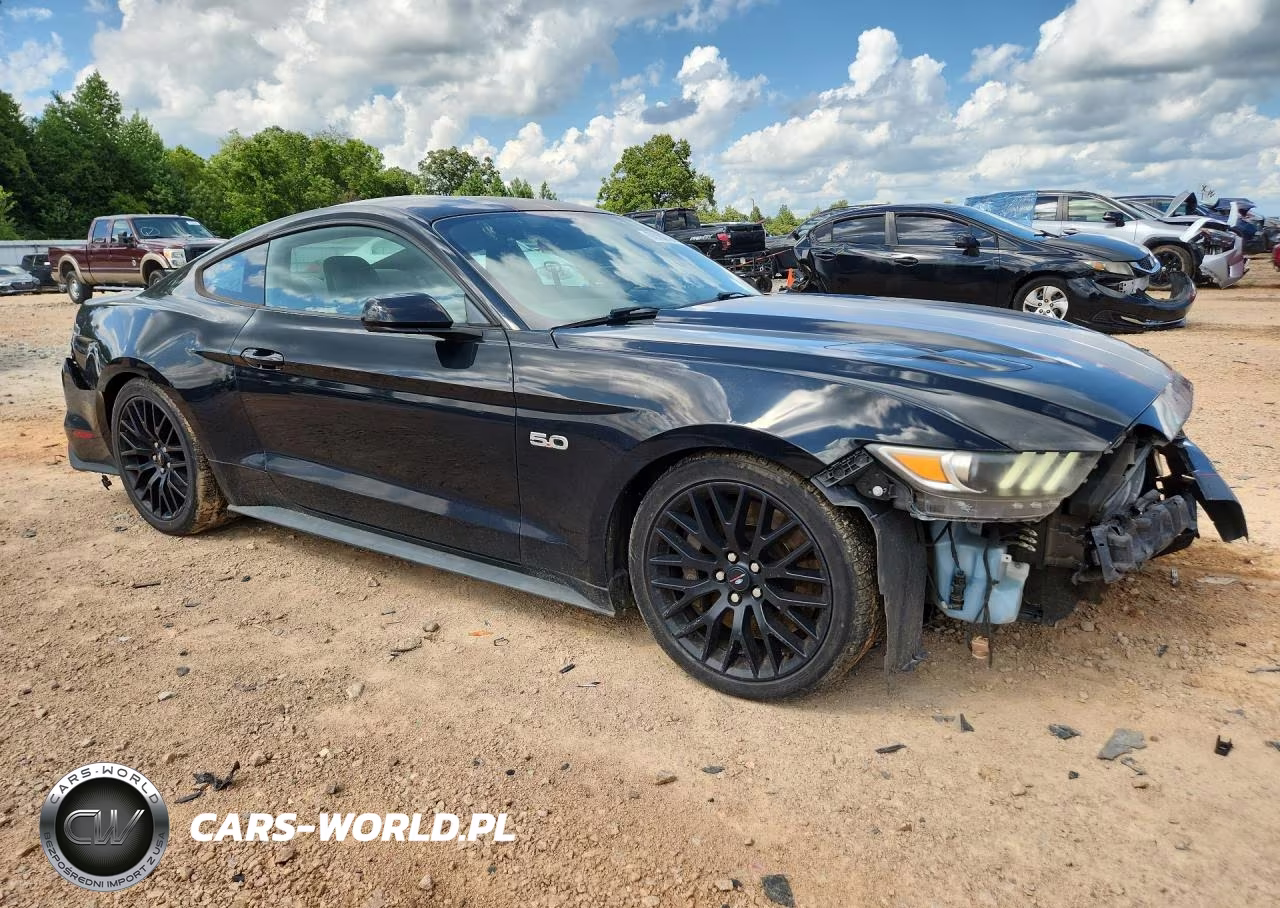 2015 Ford Mustang Gt VIN:1FA6P8CF9F5432897 - 4