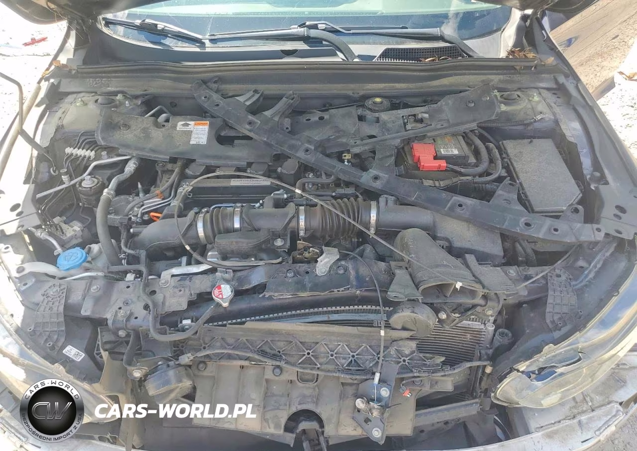2019 Honda Accord Ex VIN:1HGCV1F48KA159328 - 11