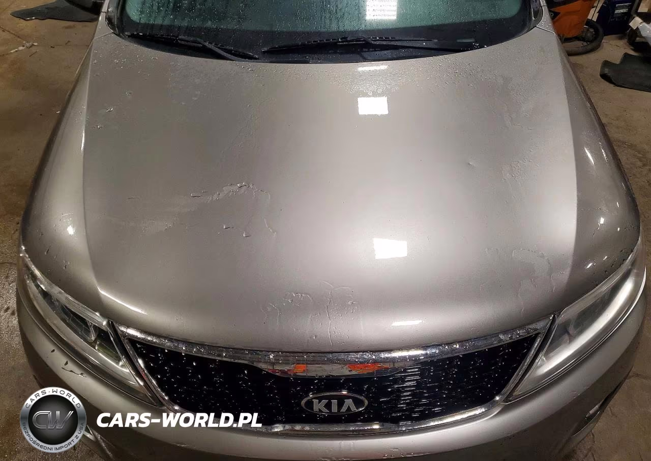 2014 Kia Sorento Lx VIN:5XYKTDA65EG508525 - 12