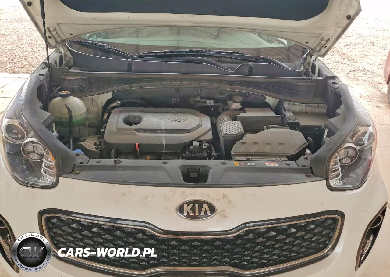 2019 Kia Sportage VIN:KNDPNCAC1K7556130 - 11