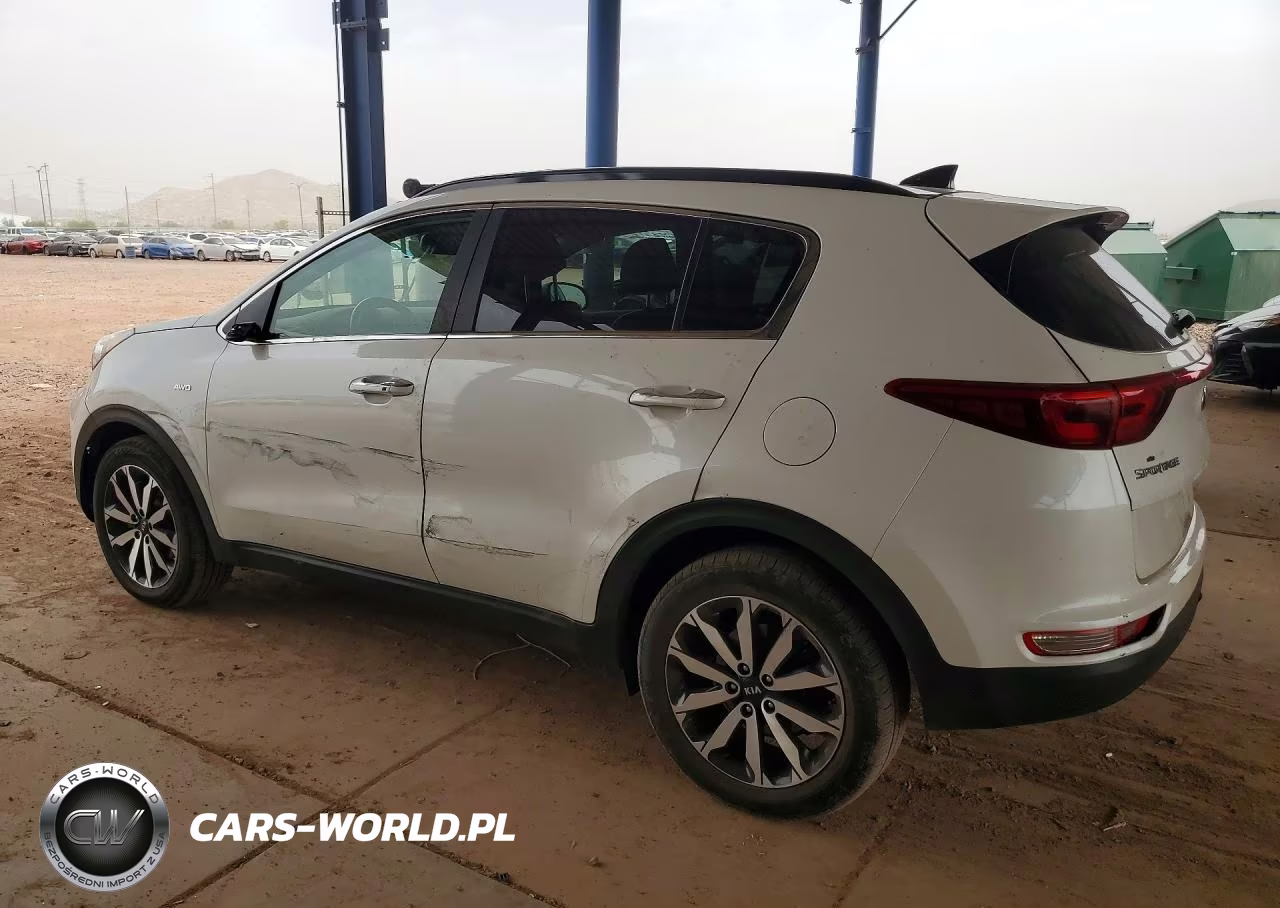 2019 Kia Sportage VIN:KNDPNCAC1K7556130 - 2