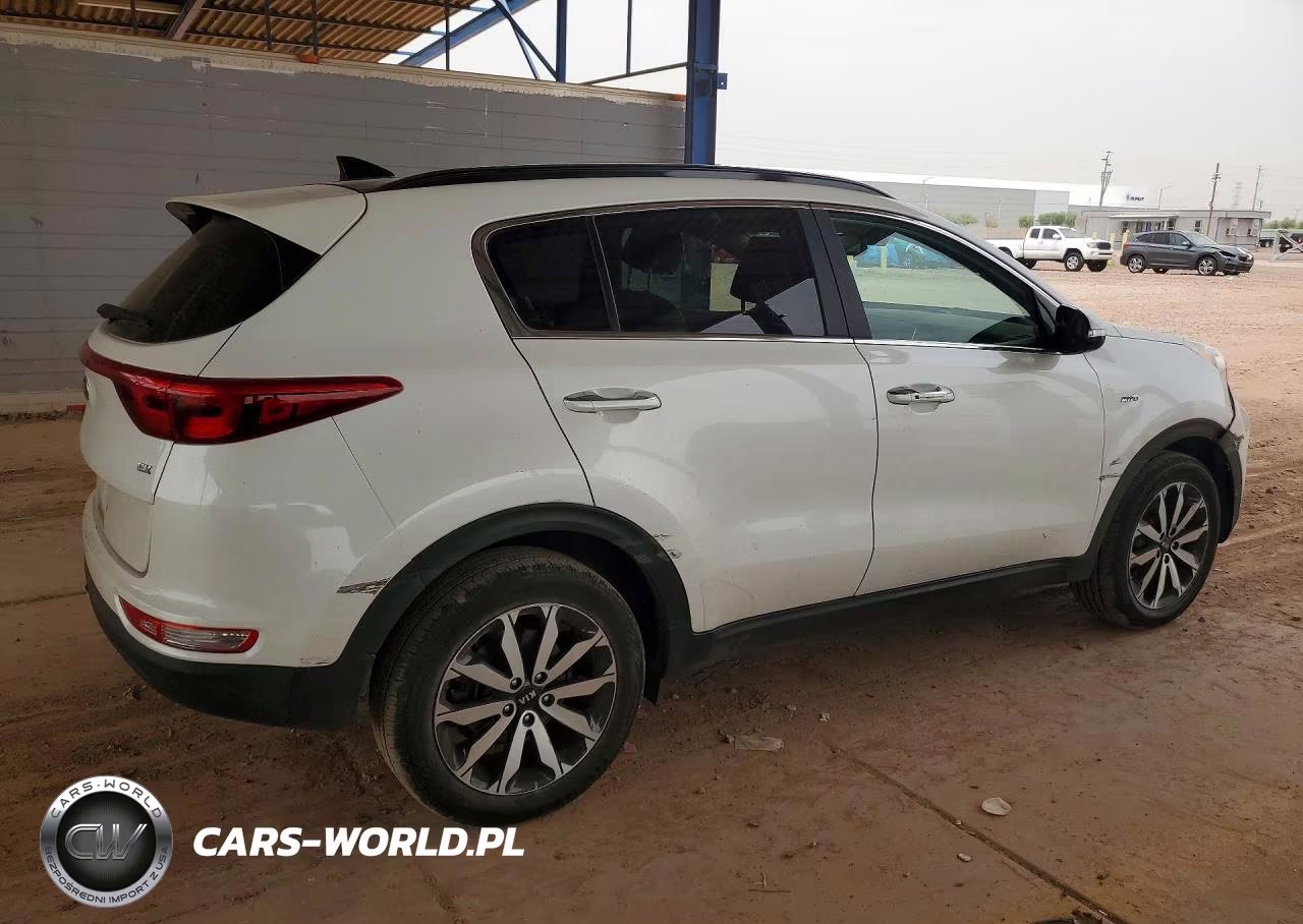 2019 Kia Sportage VIN:KNDPNCAC1K7556130 - 3