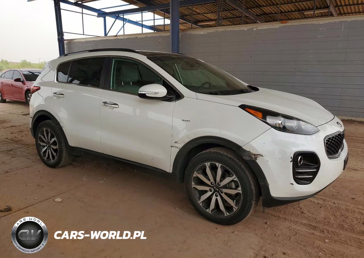 2019 Kia Sportage VIN:KNDPNCAC1K7556130 - 4