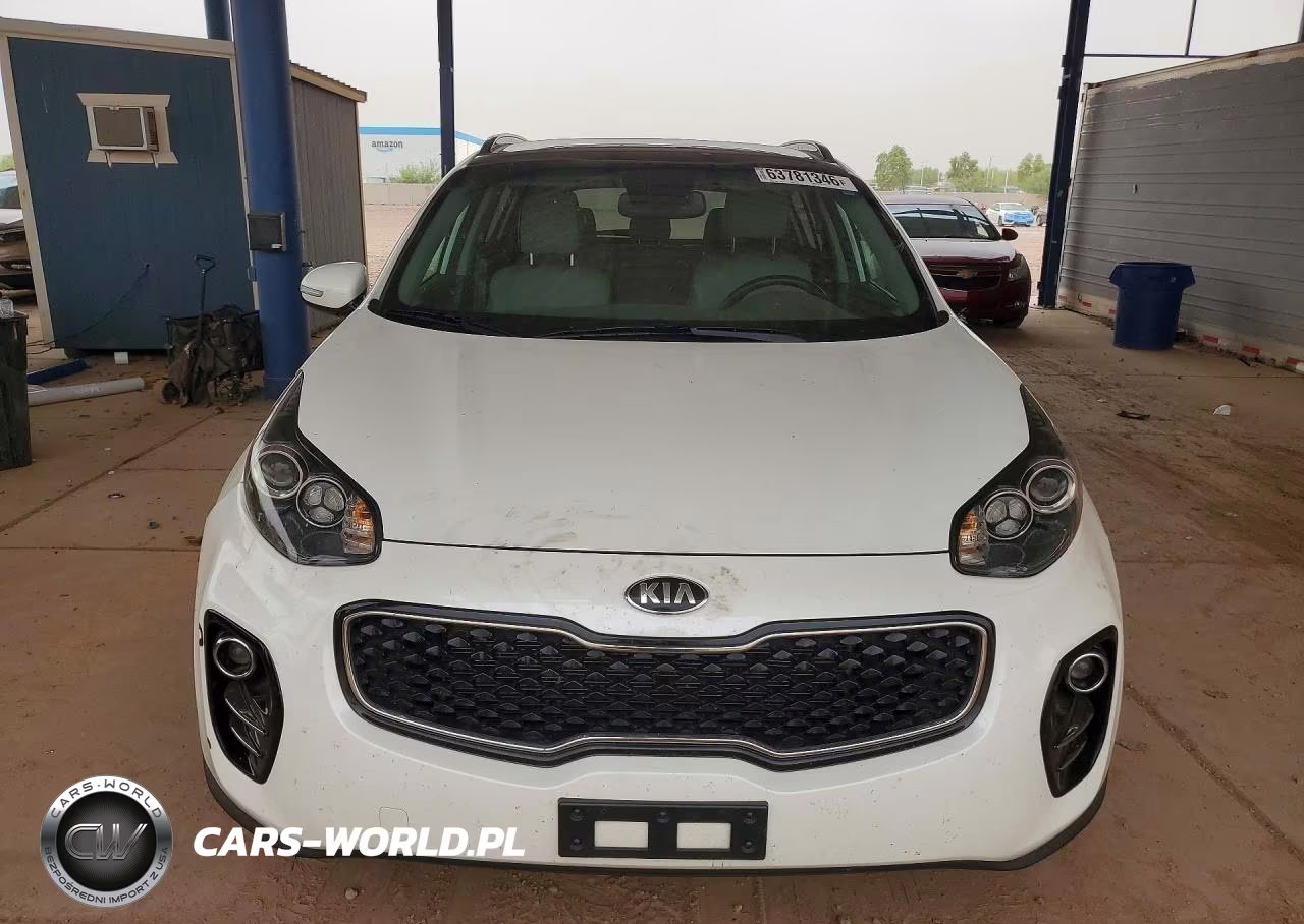 2019 Kia Sportage VIN:KNDPNCAC1K7556130 - 5