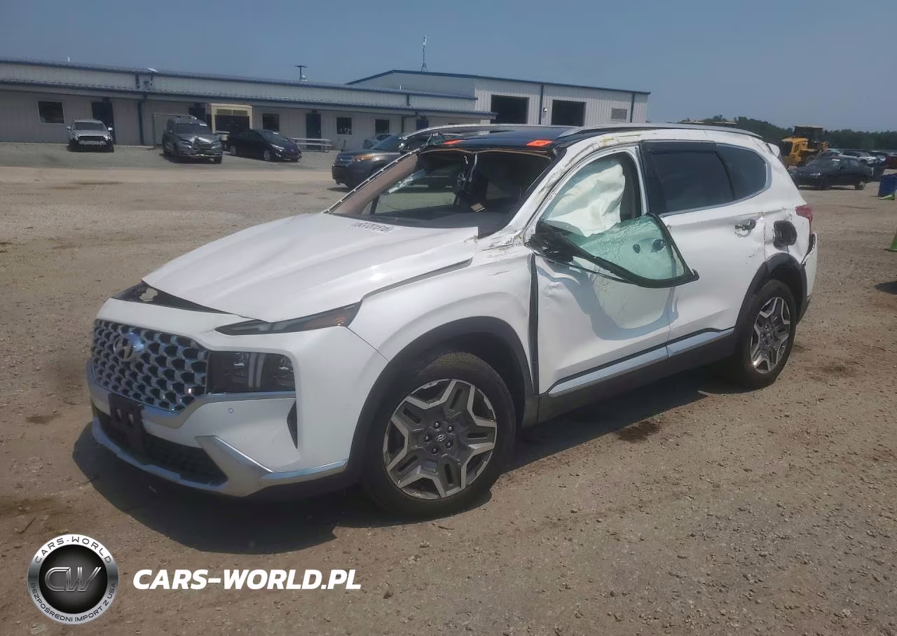 2022 Hyundai Santa Fe Limited VIN:5NMS44AL6NH445217 - 1