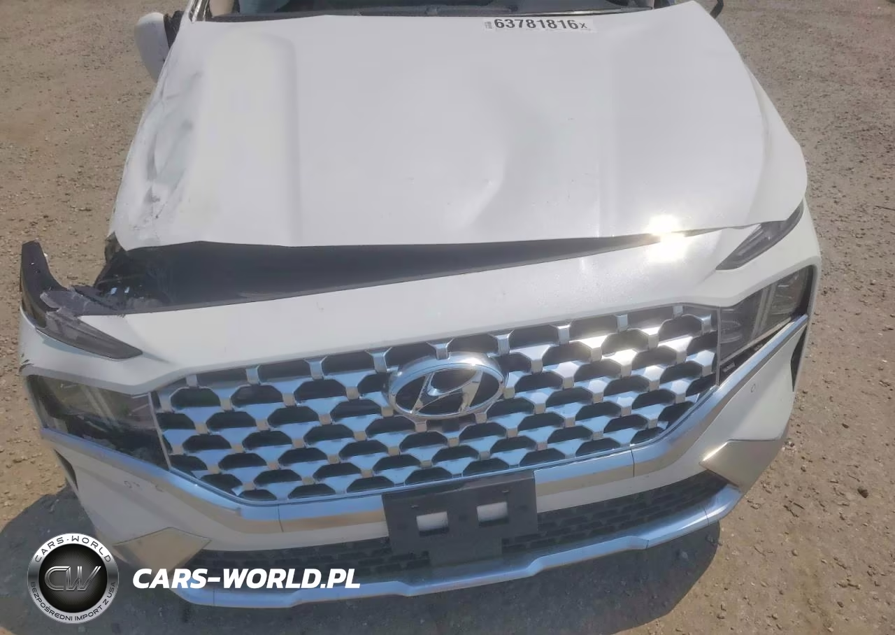 2022 Hyundai Santa Fe Limited VIN:5NMS44AL6NH445217 - 12
