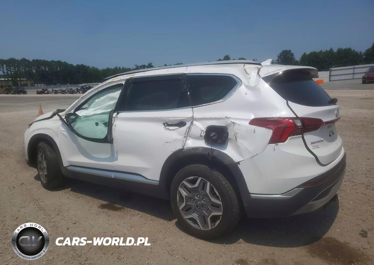 2022 Hyundai Santa Fe Limited VIN:5NMS44AL6NH445217 - 2