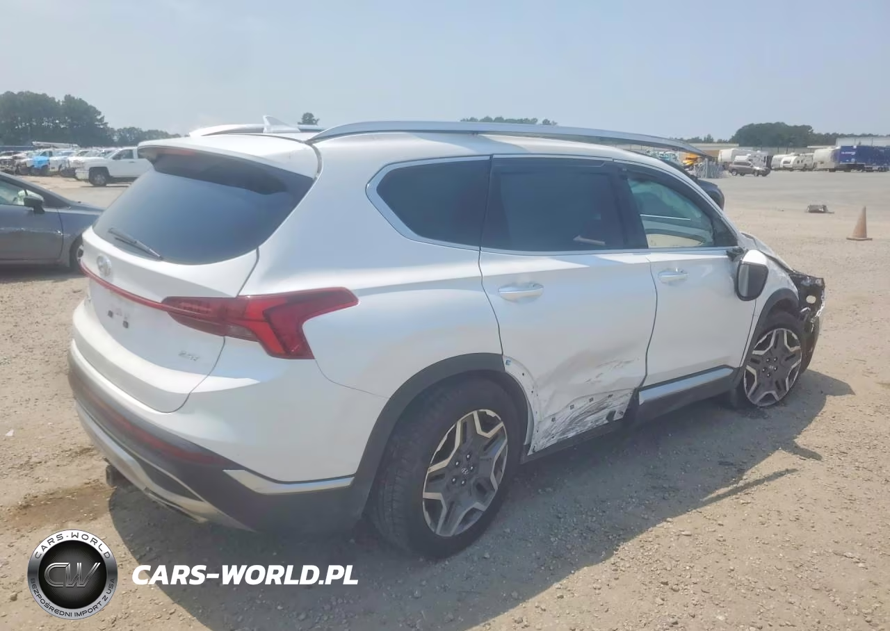 2022 Hyundai Santa Fe Limited VIN:5NMS44AL6NH445217 - 3