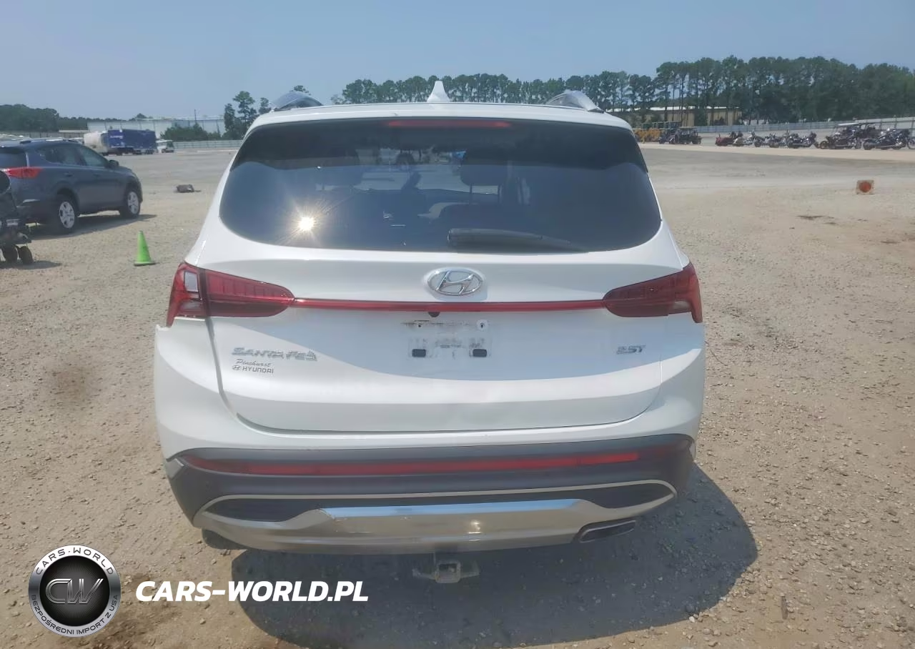 2022 Hyundai Santa Fe Limited VIN:5NMS44AL6NH445217 - 6