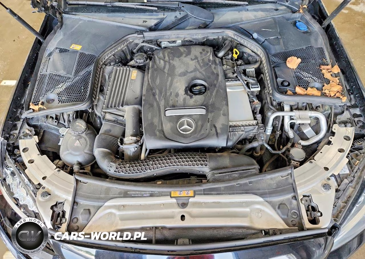 2017 Mercedes-Benz C 300 VIN:WDDWJ4JB1HF355739 - 11