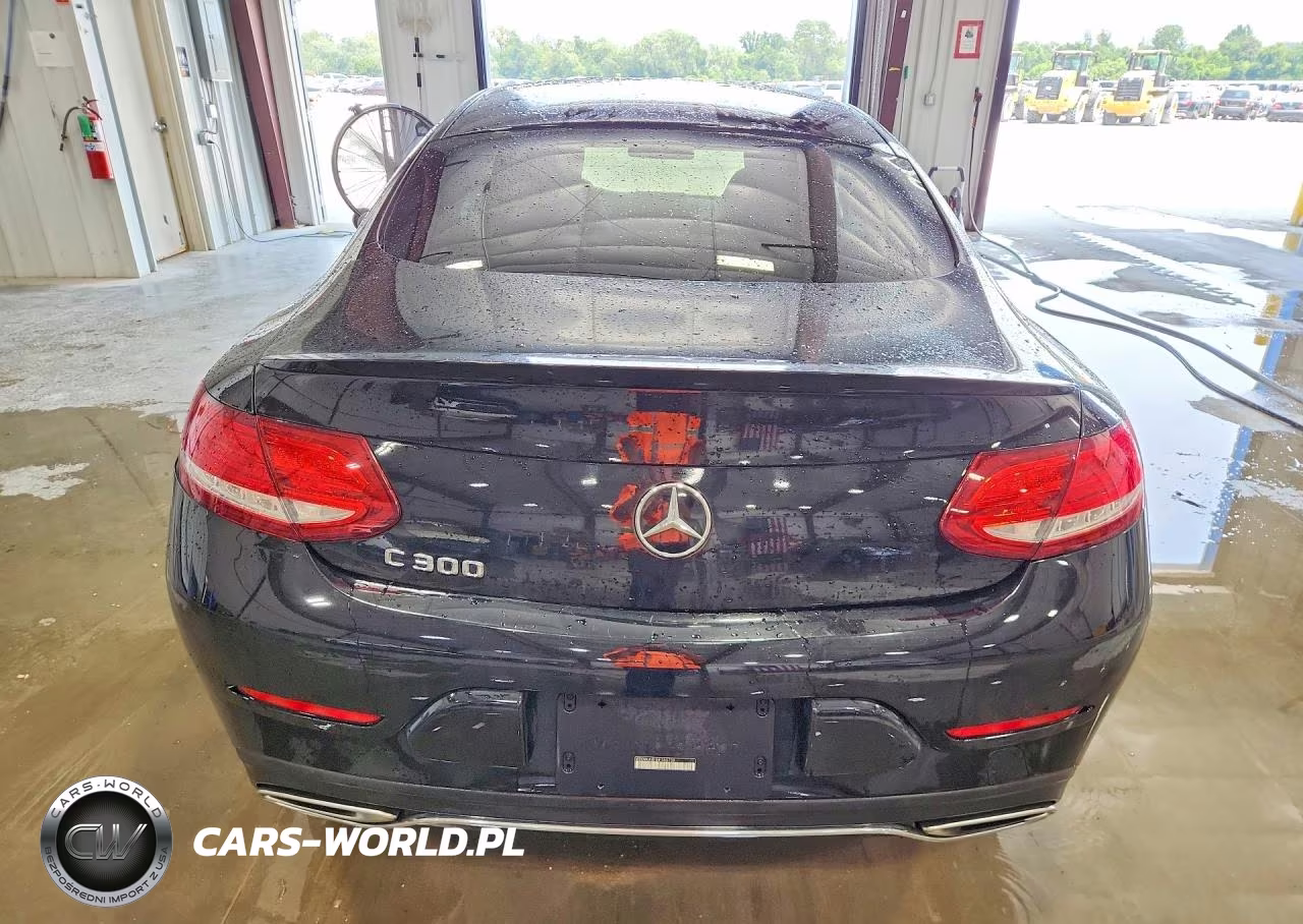 2017 Mercedes-Benz C 300 VIN:WDDWJ4JB1HF355739 - 6