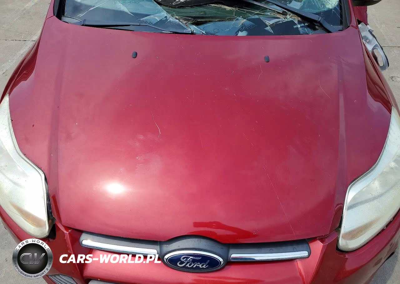 2014 Ford Focus Se VIN:1FADP3F21EL122482 - 11