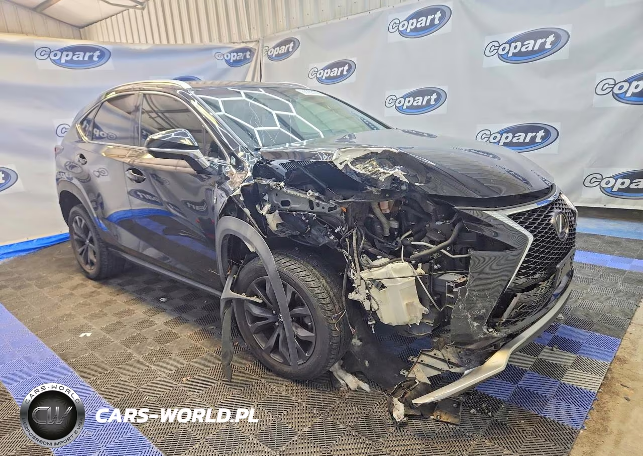 2017 Lexus Nx 200T F Sport VIN:JTJYARBZ2H2070158 - 4