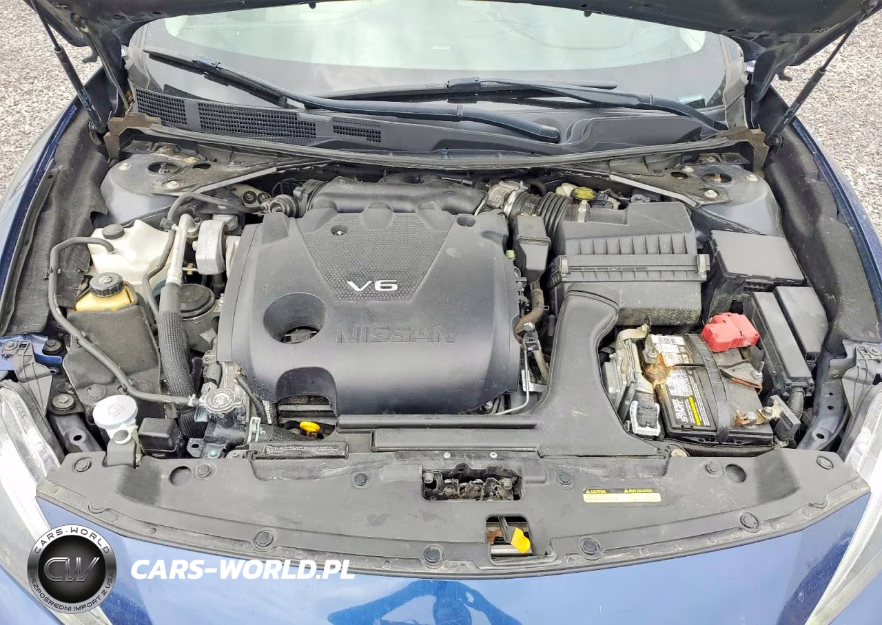 2017 Nissan Maxima Platinum VIN:1N4AA6AP3HC405477 - 11
