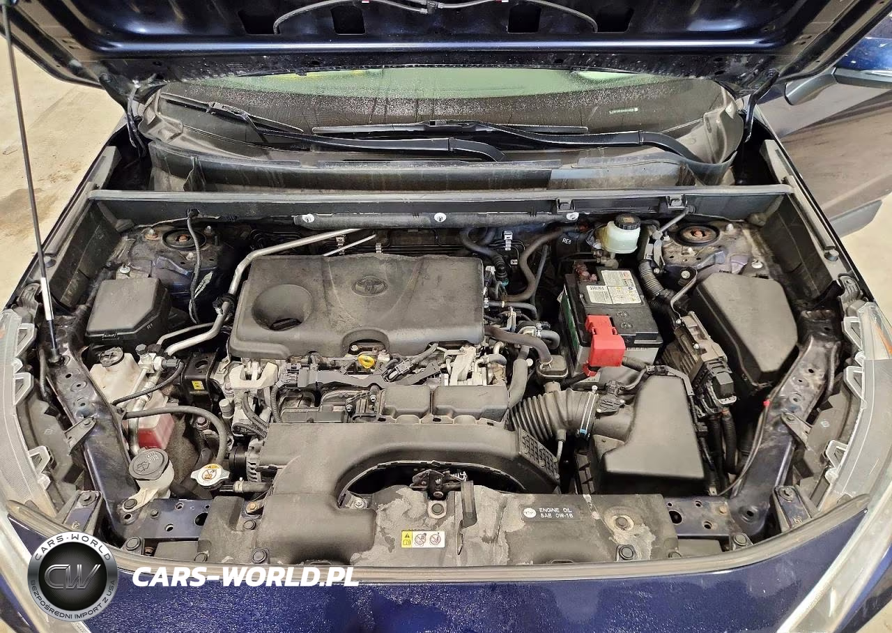 2019 Toyota Rav4 Xle VIN:JTMP1RFV0KD016228 - 12