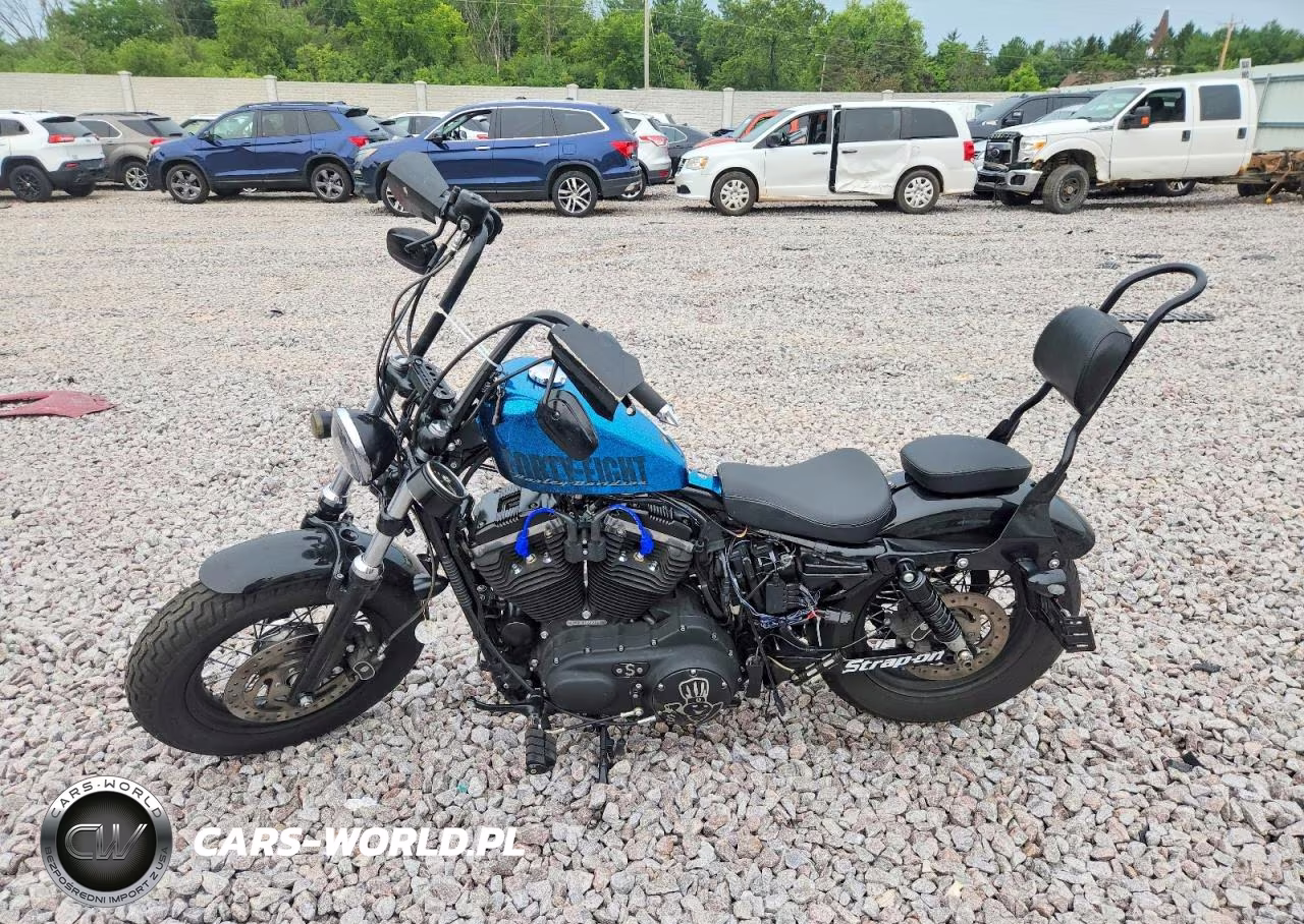 2015 Harley-Davidson Xl1200 Forty-Eight VIN:1HD1LC313FC403624 - 3