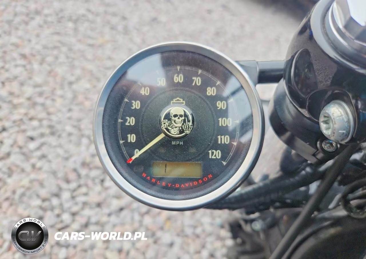 2015 Harley-Davidson Xl1200 Forty-Eight VIN:1HD1LC313FC403624 - 7