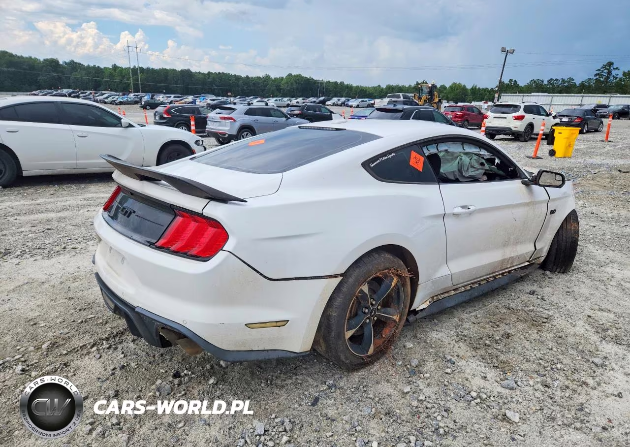 2020 Ford Mustang Gt VIN:1FA6P8CF8L5189515 - 3