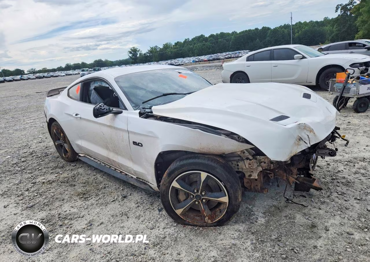2020 Ford Mustang Gt VIN:1FA6P8CF8L5189515 - 4