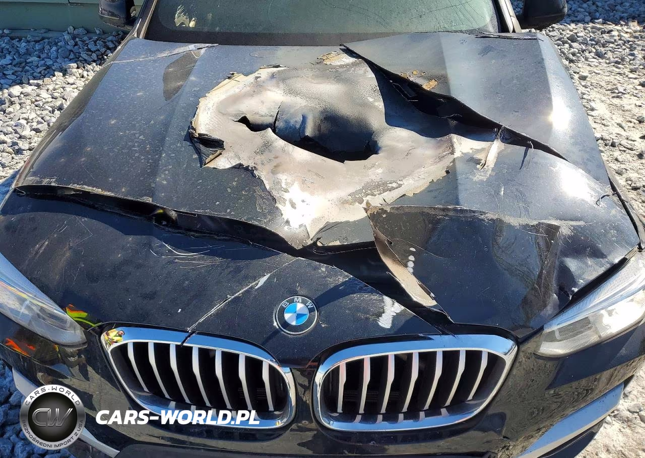 2020 BMW X3 Sdrive30I VIN:5UXTY3C0XL9C98898 - 11