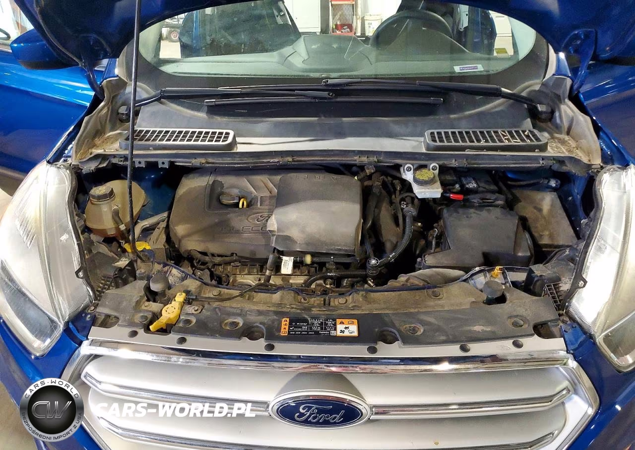 2018 Ford Escape Se VIN:1FMCU9GD1JUA28409 - 12