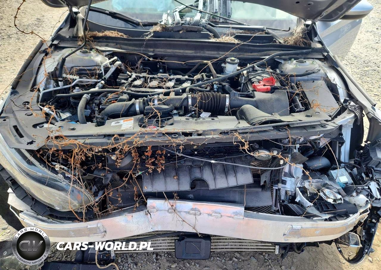 2020 Honda Accord Lx VIN:1HGCV1F1XLA114513 - 11
