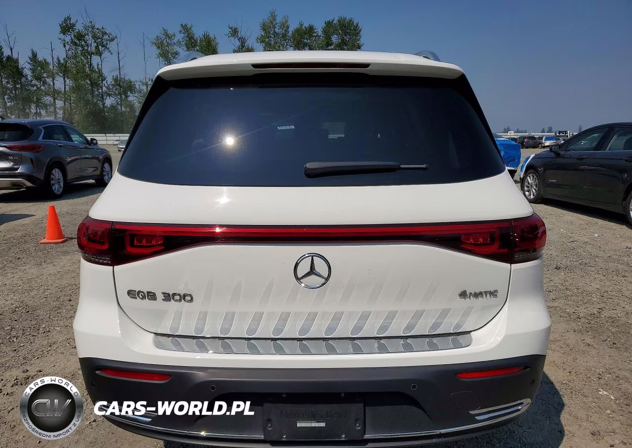 2022 Mercedes-Benz Eqb 300 4Matic VIN:W1N9M0KB3NN010096 - 6