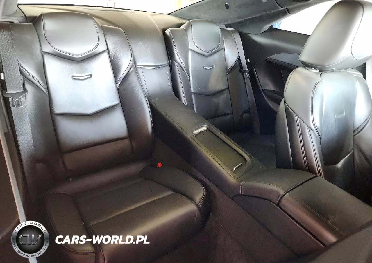2016 Cadillac Elr VIN:1G6RL1E46GU113358 - 10