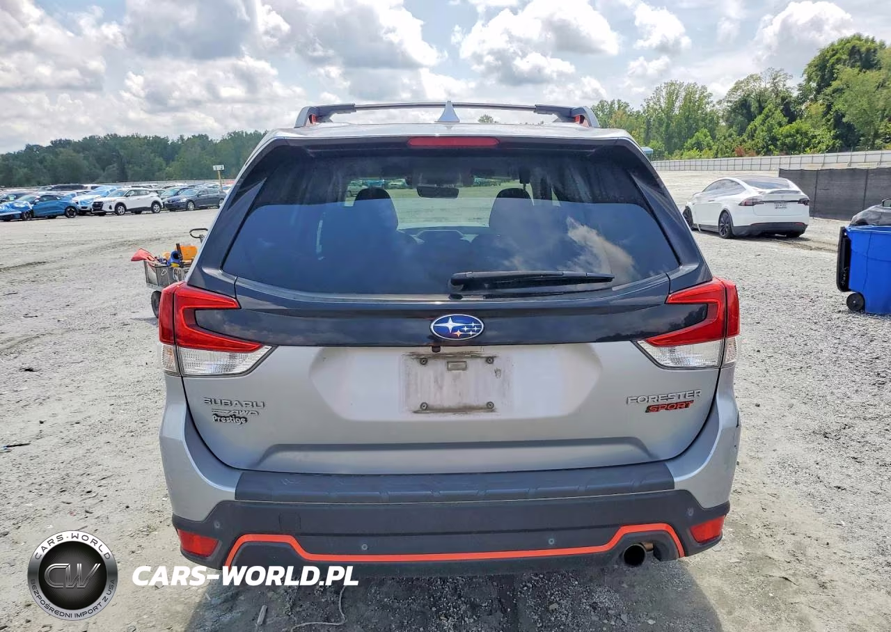 2019 Subaru Forester Sport VIN:JF2SKAKC7KH553024 - 6