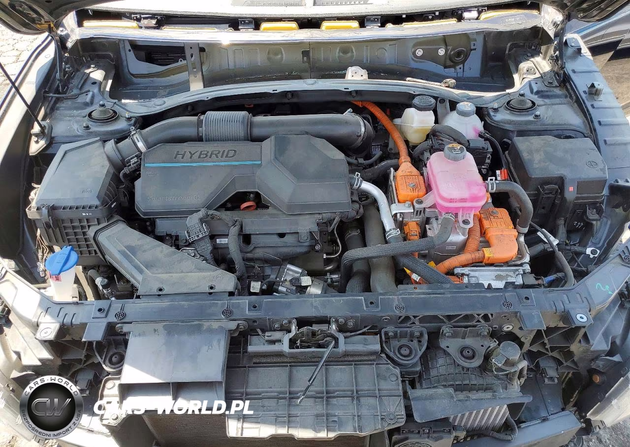 2025 Hyundai Tucson Blue VIN:KM8JBDD17SU287191 - 12