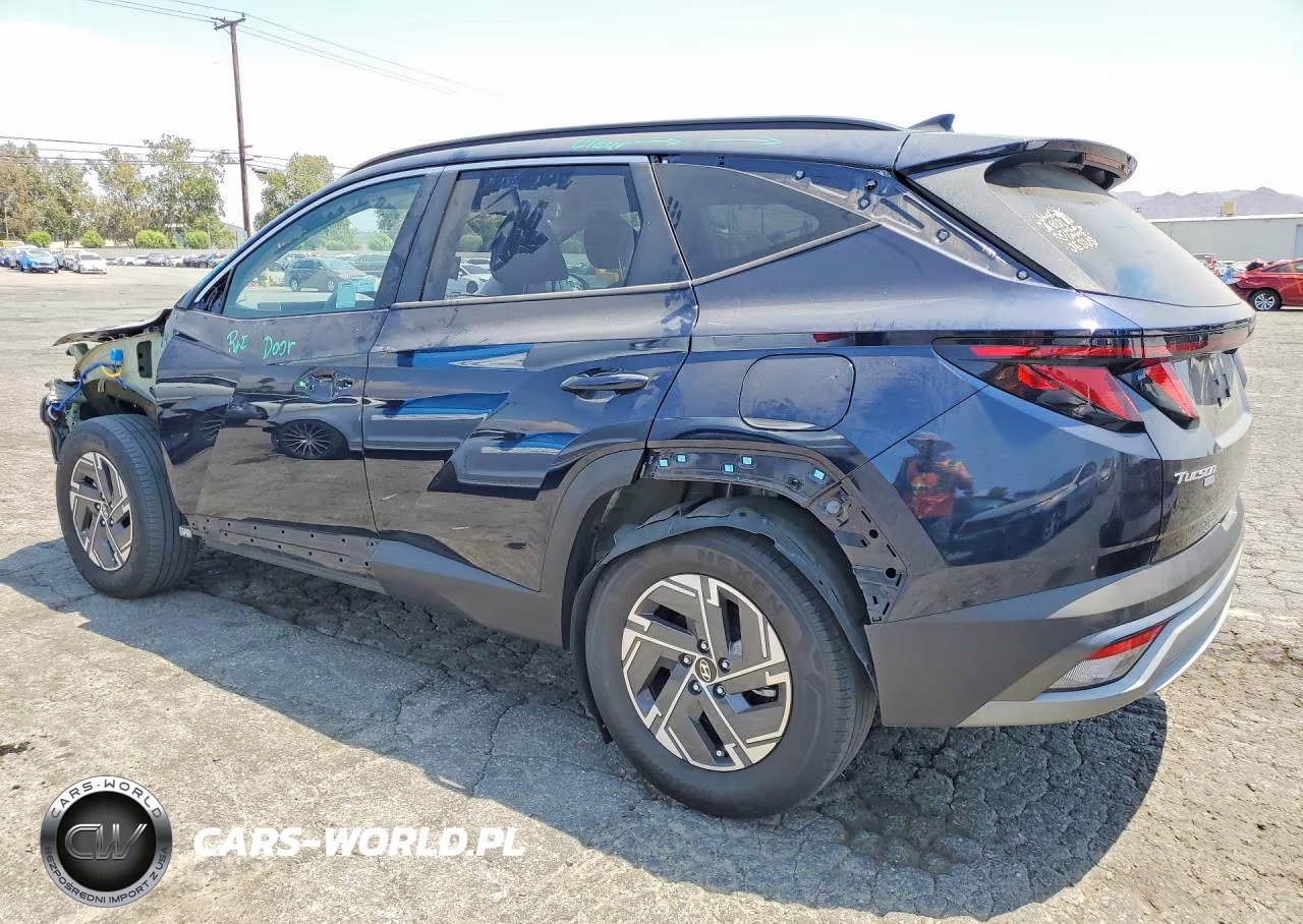 2025 Hyundai Tucson Blue VIN:KM8JBDD17SU287191 - 2